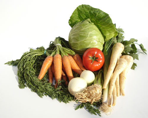 Vegetarijanska prehrana