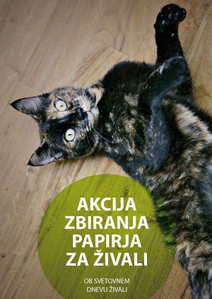 Zbiranje papirja DZZZ Ljubljana