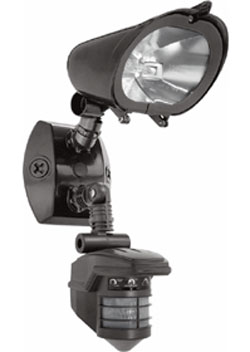 detektor
