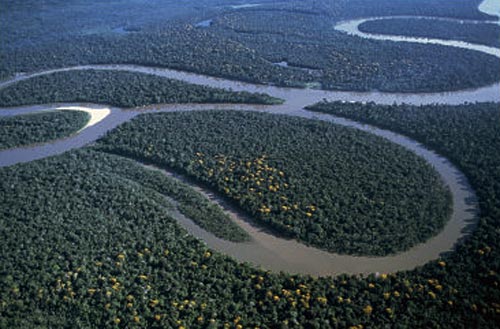 Reka Amazonka, pragozd