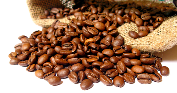 Kava - črno zlato