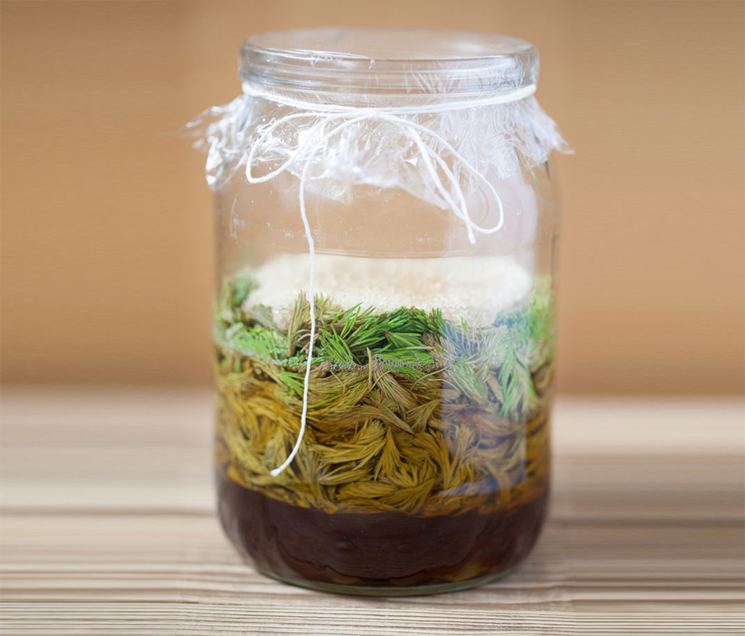 Sirup iz smrekovih vršičkov