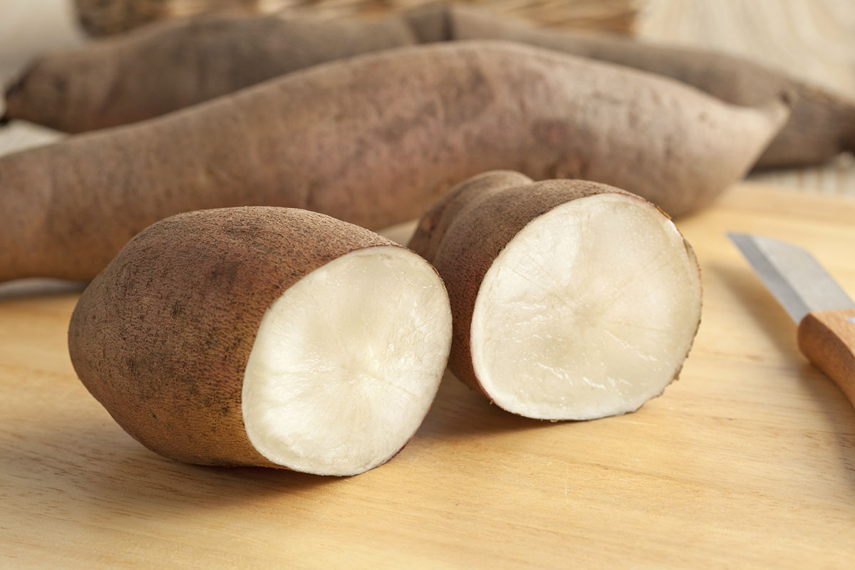 Gomolj yacona