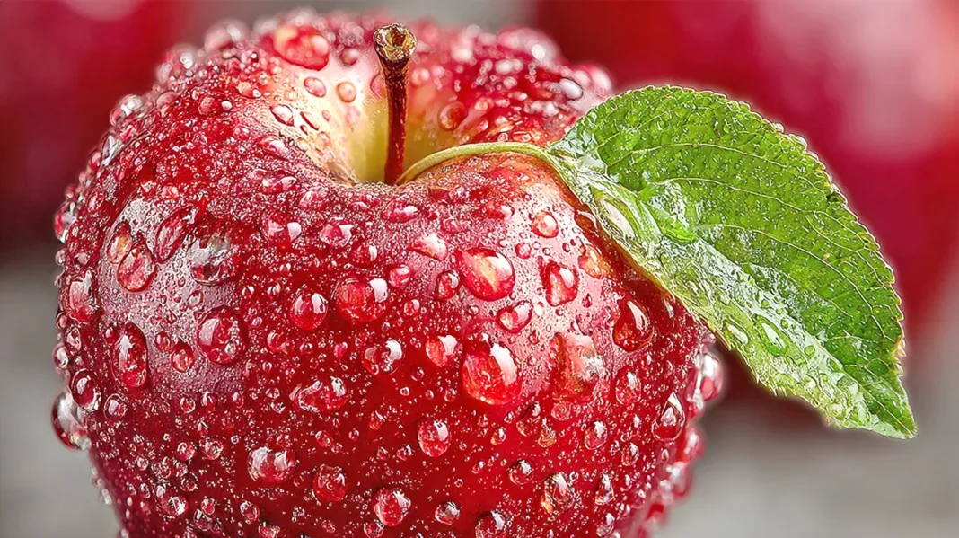 Jabolka krepijo srce, prebavo in odpornost