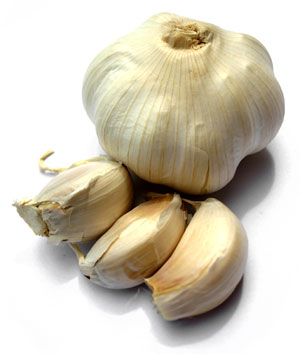 Česen Česen