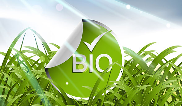 BIO embalaža in plastika