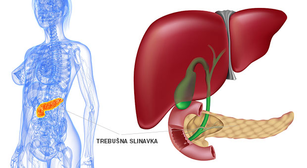 trebušna slinavka trebušna slinavka