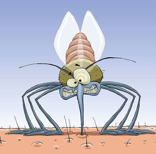 komar