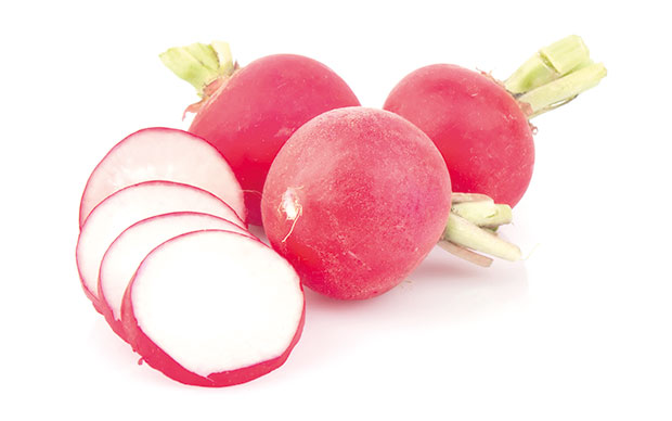 Redkvica