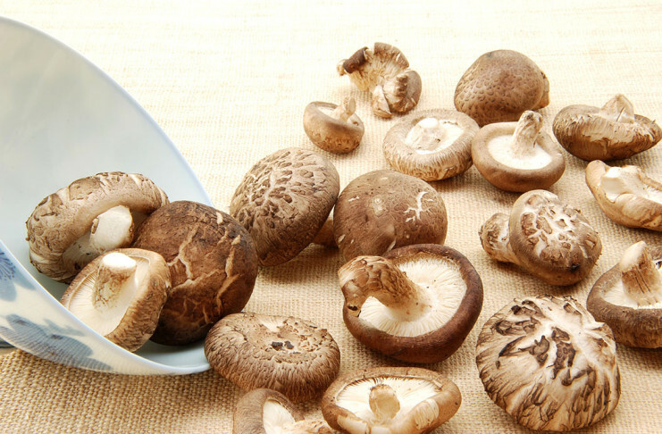 Šitake (Shiitake)