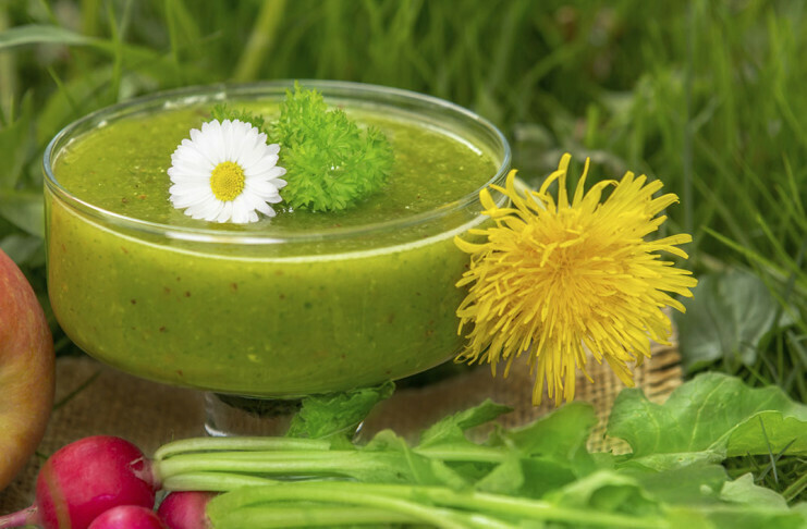 Regrat je super pomladna sestavina za smoothie
