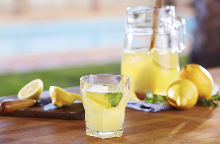 limonina mešanica holesterol