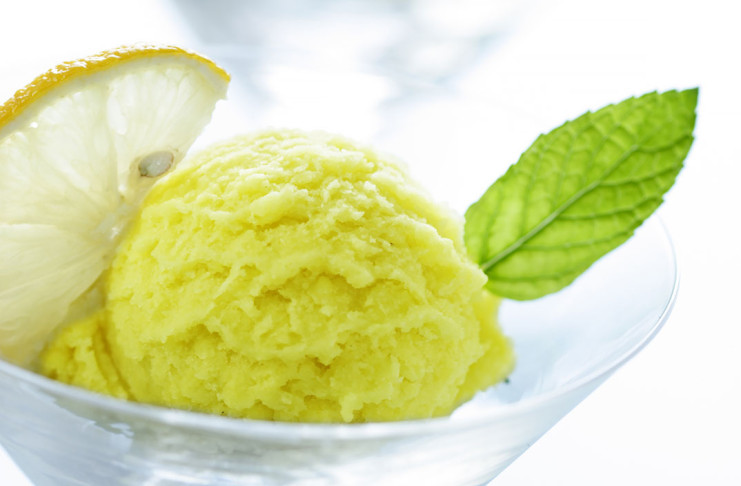 Limonin sorbet