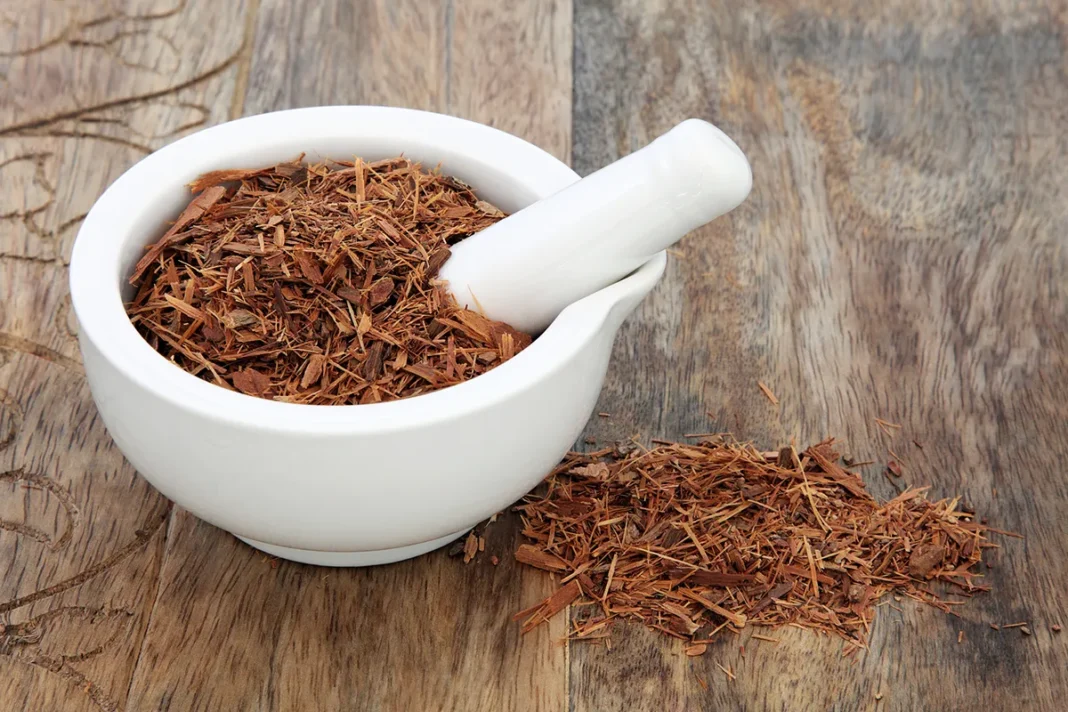 Catuaba lubje drevesa