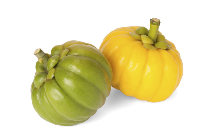 Garcinia cambogia