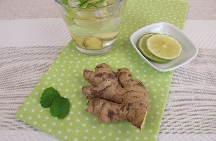 metina limonada