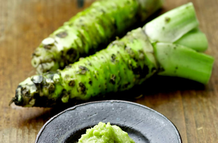 Wasabi