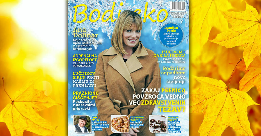 Bodi eko december 2016