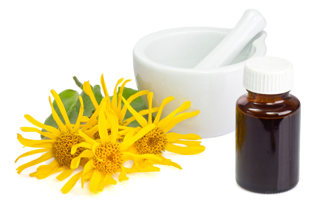 arnica tinktura