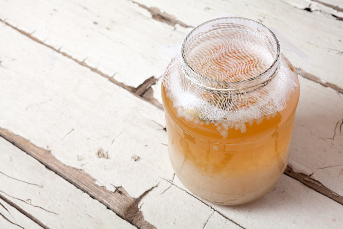 Vodni kefir priprava