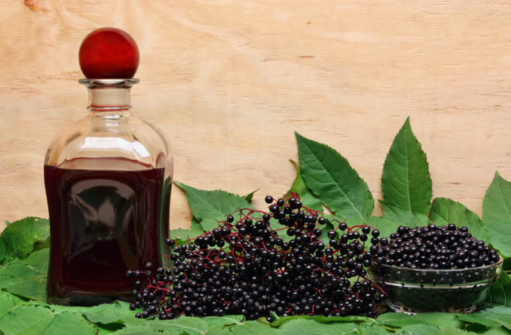 Bezgov sirup proti kašlju