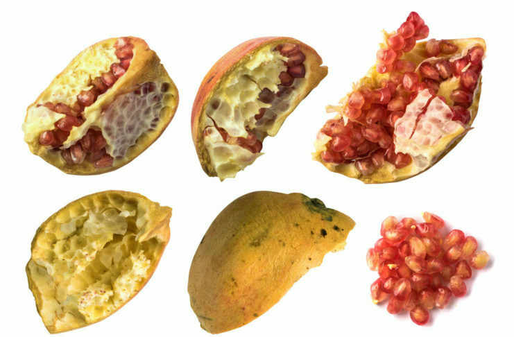 Lupina granatnega jabolka