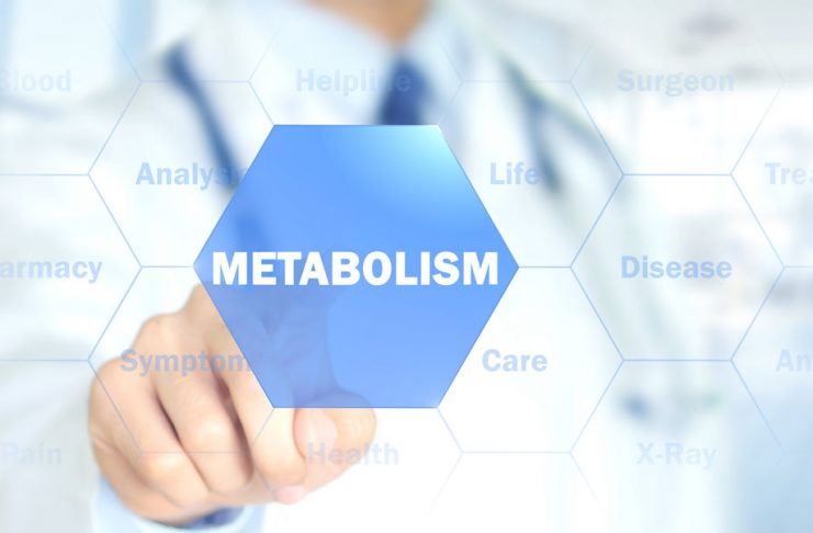 Metabolizem