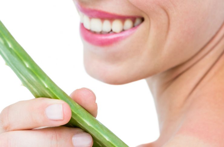 Aloe vera proti opeklinam