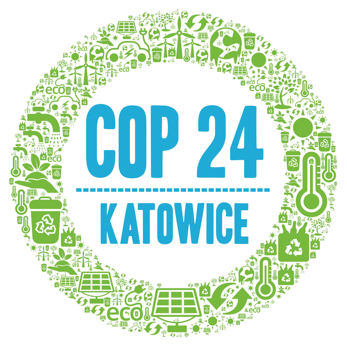 COP 24
