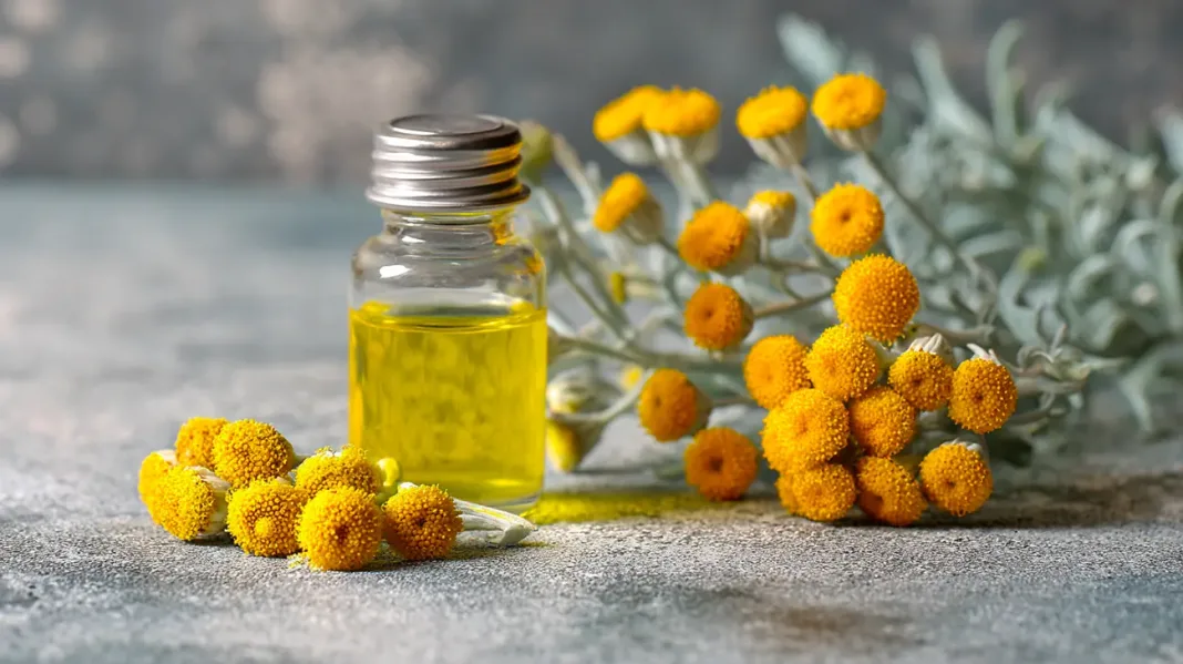 Smilj – balzam za občutljivo kožo in začimba