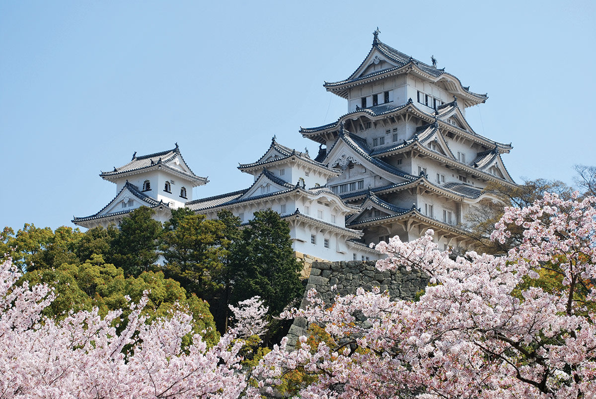 Cvetoče japonske češnje