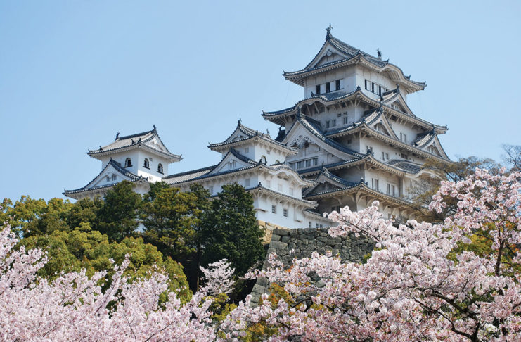 Cvetoče japonske češnje