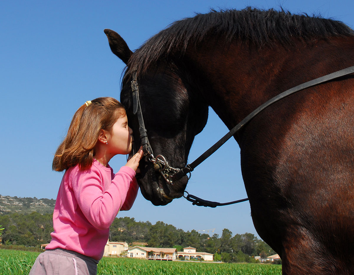 Ljubezen do konjev