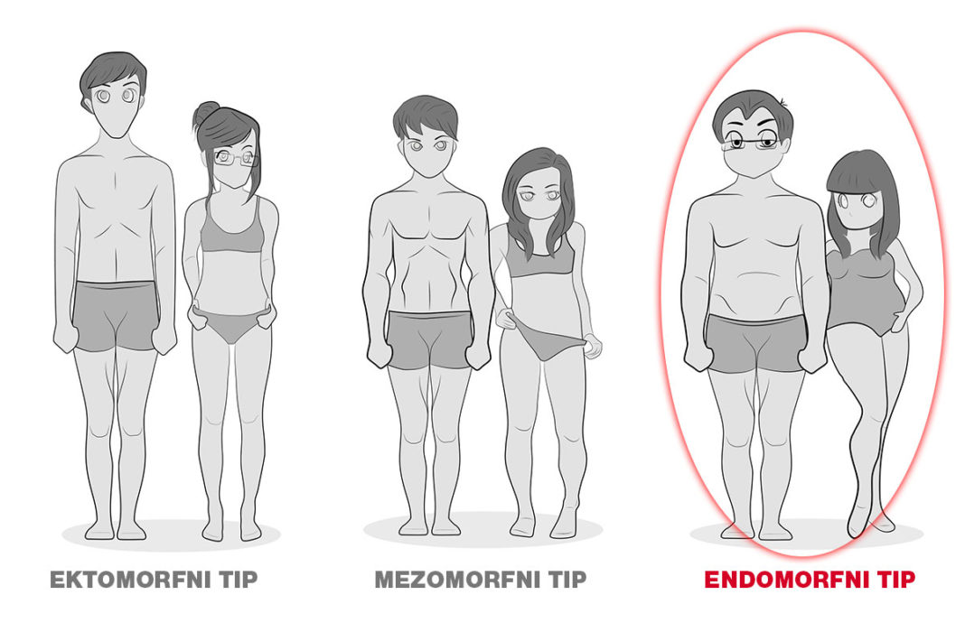 Endomorfni tip postave