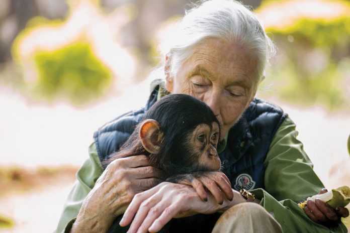 Jane Goodall