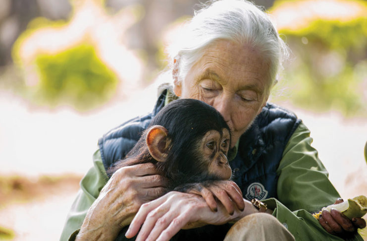 Jane Goodall
