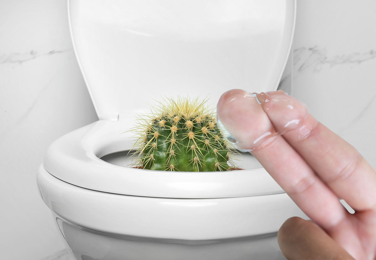 Aloe vera  odlina naravna pomo pri hemoroidih | Bodi eko