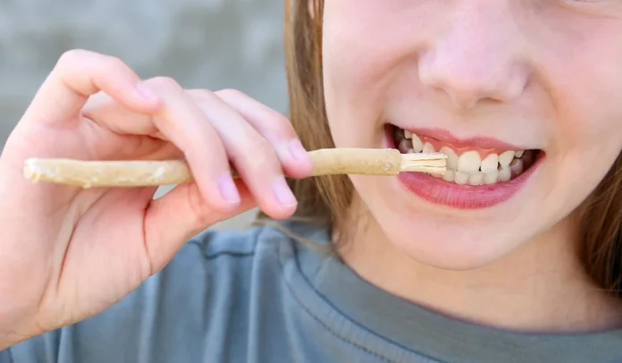 Miswak uporaba naravne zobne ščetke