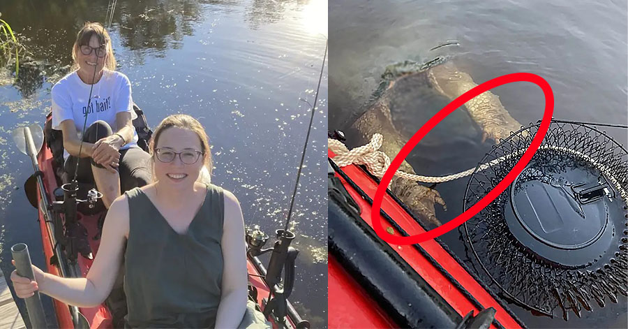 Bitje z medvedjimi kremplji