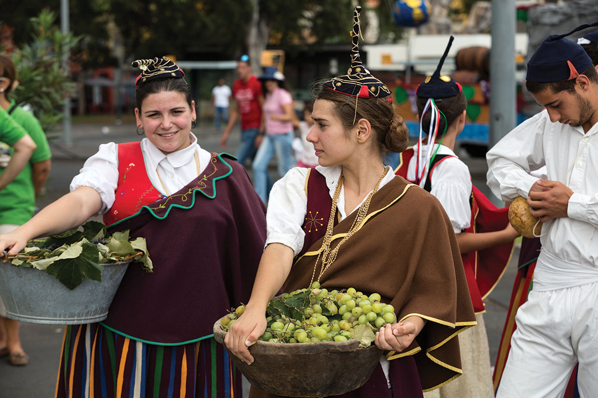 Festival vina