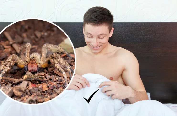 Strupeni pajki navdihnili novo različico