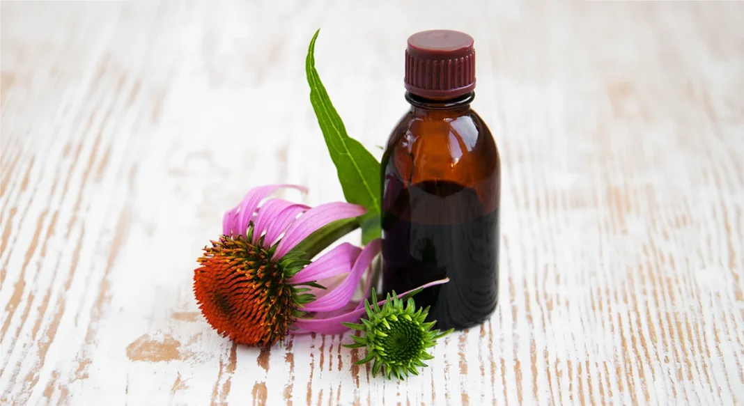 Tinktura iz ameriškega slamnika