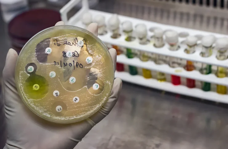 Znanstveniki odkrili nov antibiotik
