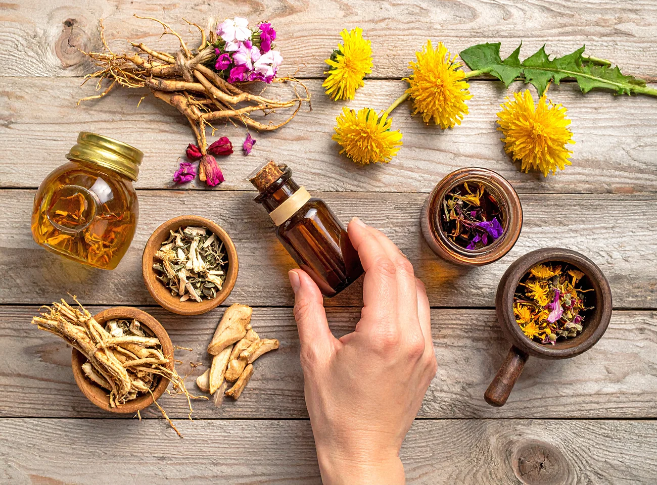 Te 4 korenine prinašajo hitro olajšanje dihal jeseni — Zeliščarka nam je razkrila preverjene recepte