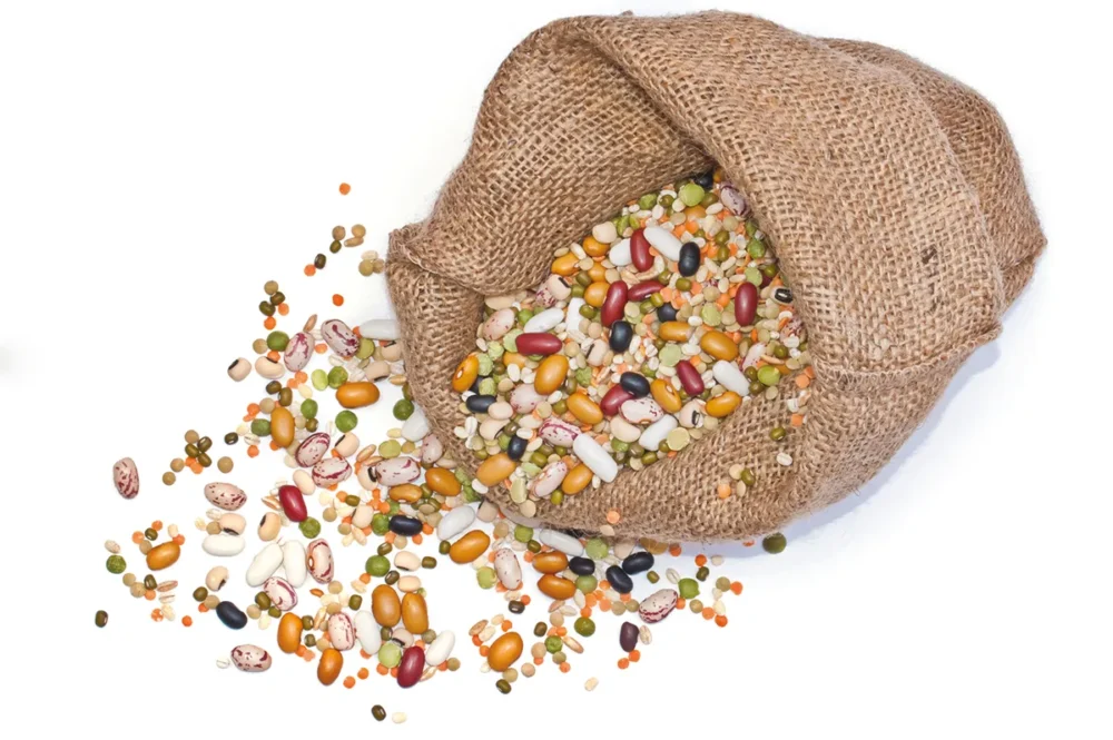 Strocnice je priporocljivo pred uporabo namakati Stročnice je priporočljivo pred uporabo namakati