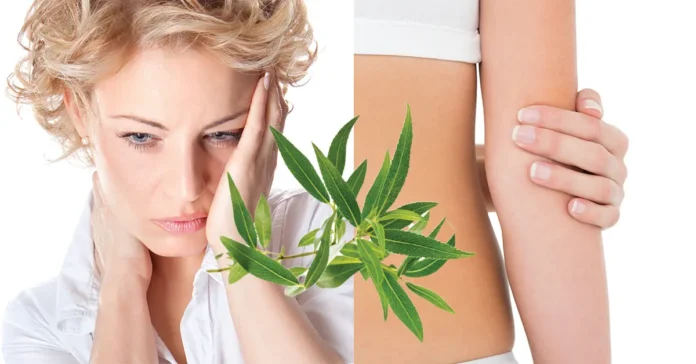 Nad bolečino z naravnimi analgetiki