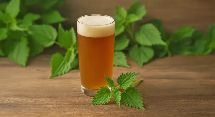 Pivo iz kopriv