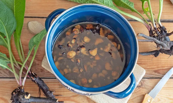 Pozabljeni pripravki iz gabeza - Kako ga uporabimo za kožo, brazgotine in bolečine