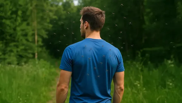 Ste vedeli, da komarje modra barva privlači kot magnet? Zato nas v teh oblačilih pogosteje pičijo