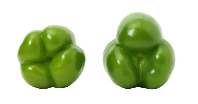 Ženska in moška paprika